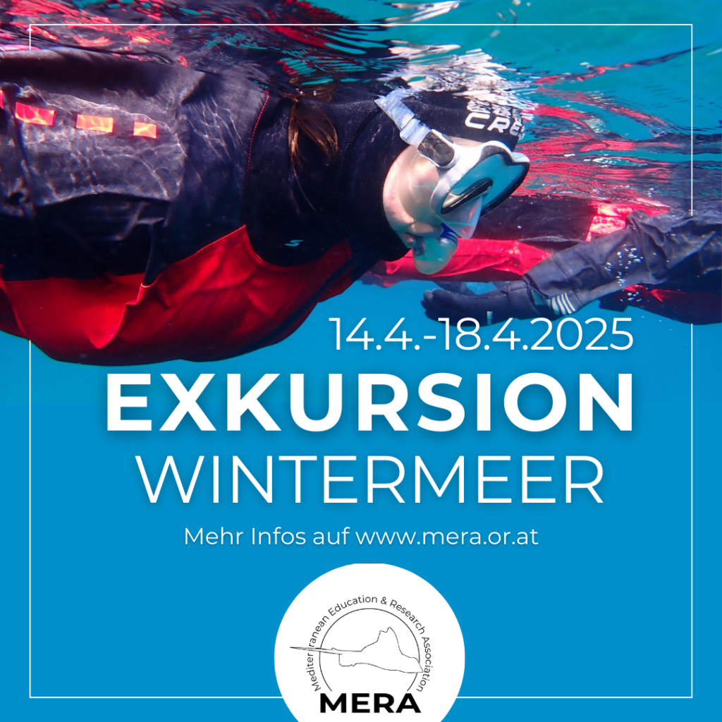 Exkursion Wintermeer